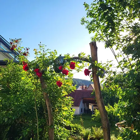 Appartement Domizil Lavendel Wasgau Dörrenbach