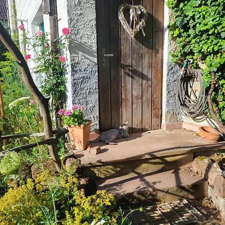 Domizil Lavendel Wasgau * Dörrenbach